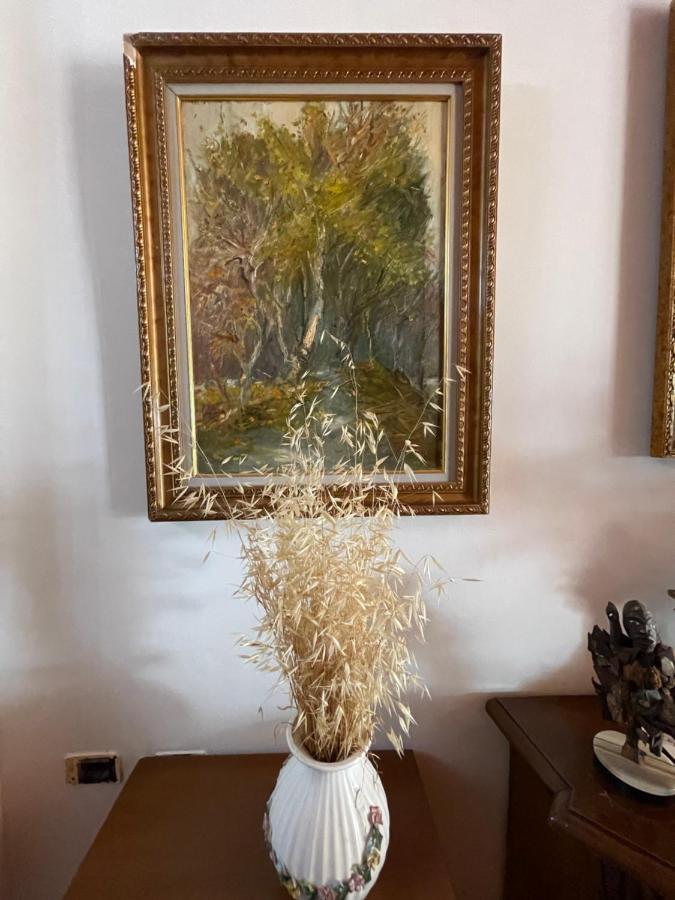 Vlorë Venus - Cozy Apt With Terrace מראה חיצוני תמונה