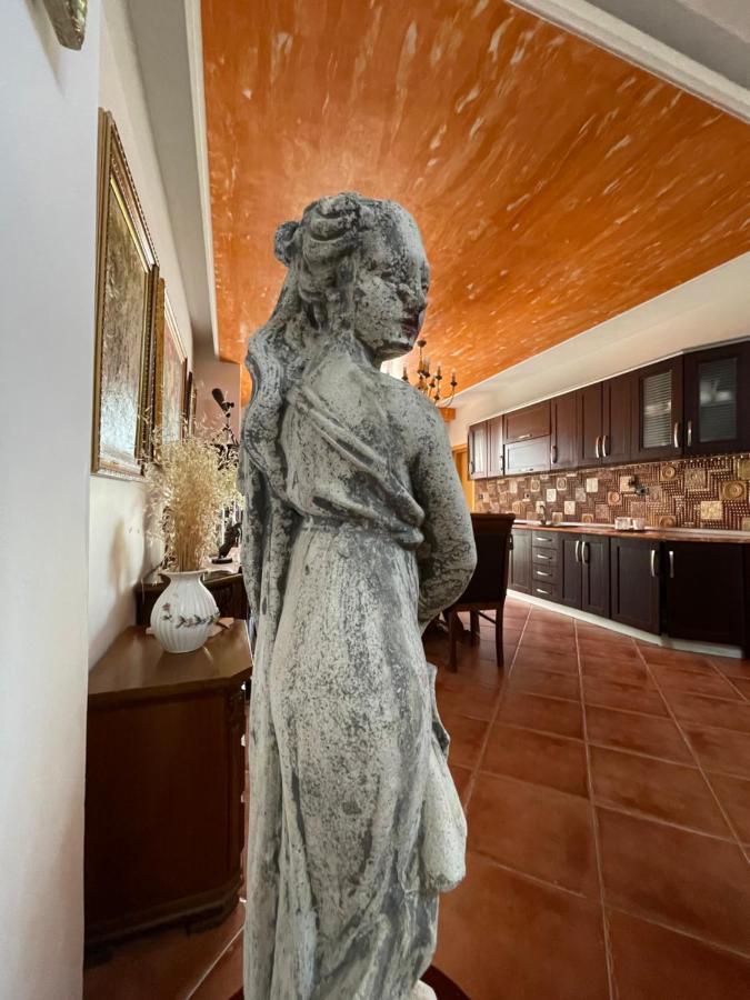 Vlorë Venus - Cozy Apt With Terrace מראה חיצוני תמונה